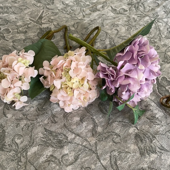 Decorative hydrangeas. - Picture 2 of 3